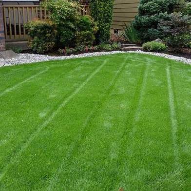 S Landscaping