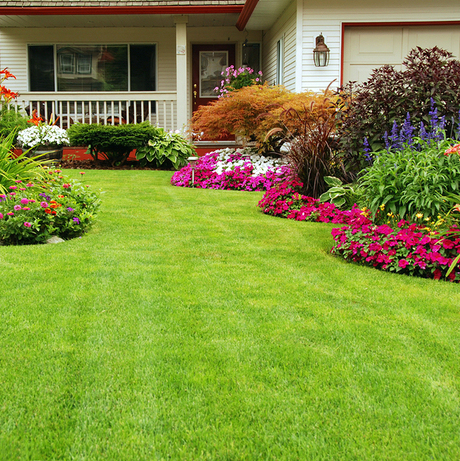 Knox Lawncare