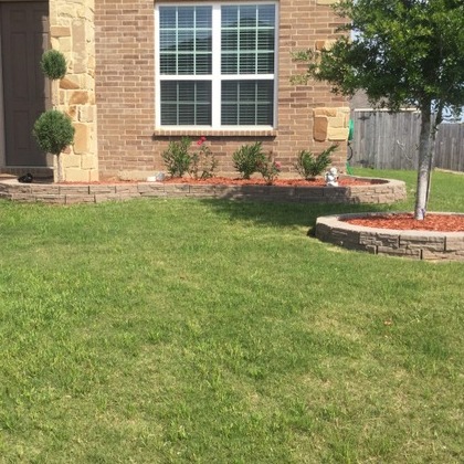 Professional landscaper that can make things look new in a budget