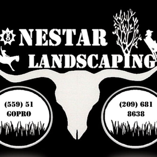 Lonestar Landscaping local family owned and operated affordable Landscaping Services