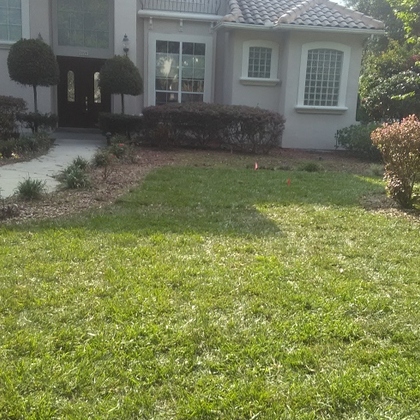 Landscaper Available , Reliable and Experienced Landscaper , Full Landscaper Services