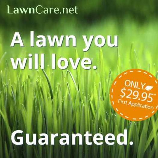 Affordable Fertilization, weed control, and lawn care (America's 1 lawn care company)
