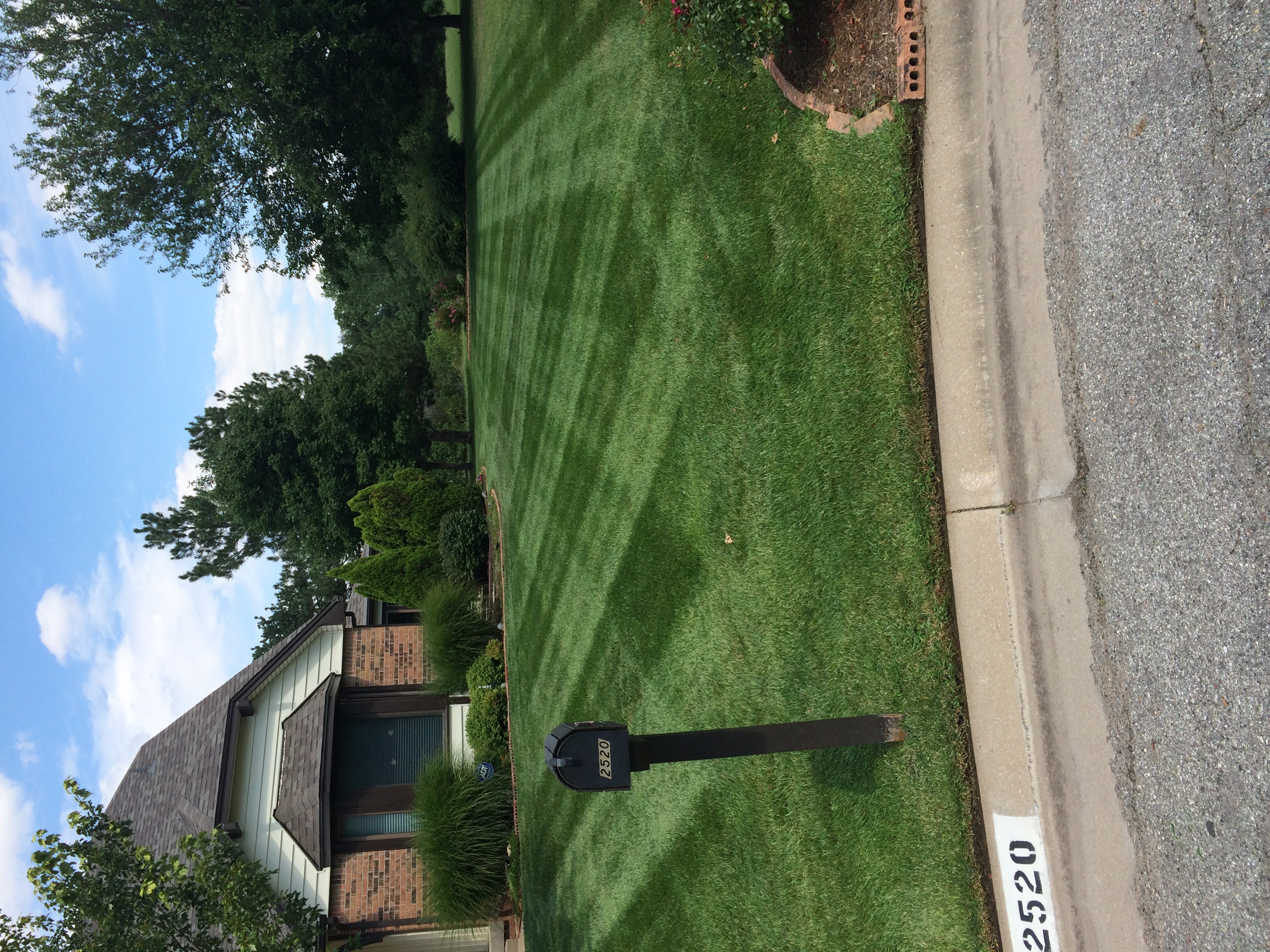 Lawn Pros