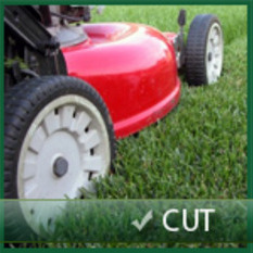 Lawn Cutting Service