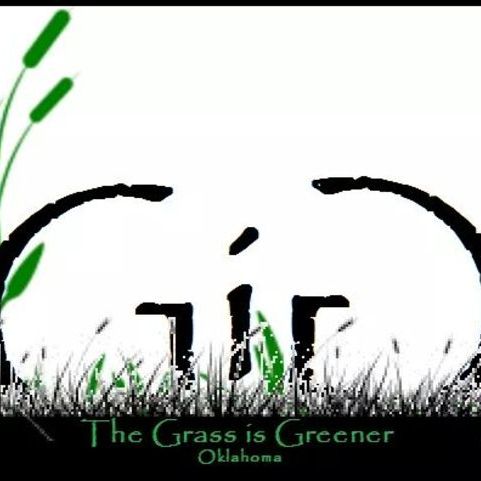 Lawn Care and weed/pest control
