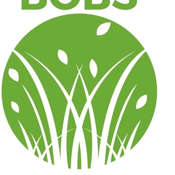 Lawn service and Maintenance
