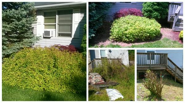 Excellent Landscaper Available Today