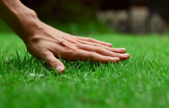 Affordable lawn care services