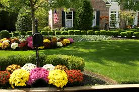 Budding Lawn Care