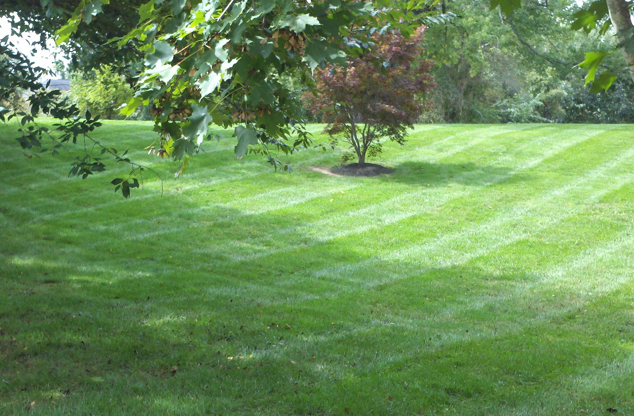 Wintergreen Lawncare Llc
