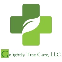 Expert Tree Trimming & Lawn Care