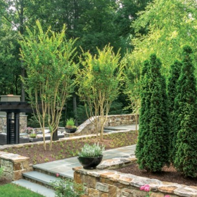 Beautiful Patios and Landscaping Design