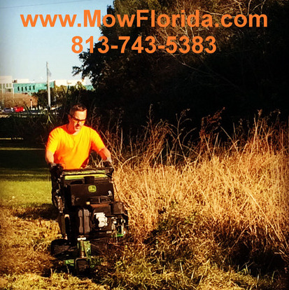 Great Lawncare Service