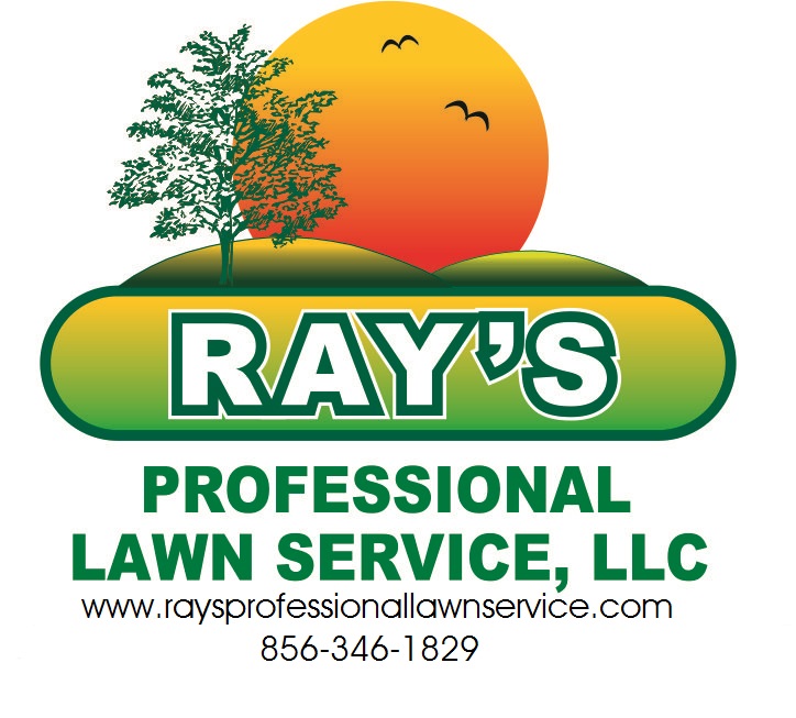 Ray's Professional Lawn Service LLC