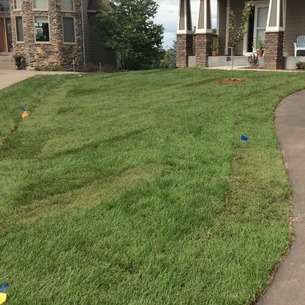 Premier Landscape Upgrade l.l.c