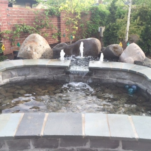 Are you a do it yourself landscaper? Little overwhelmed ?I can help bring them dreams to life..