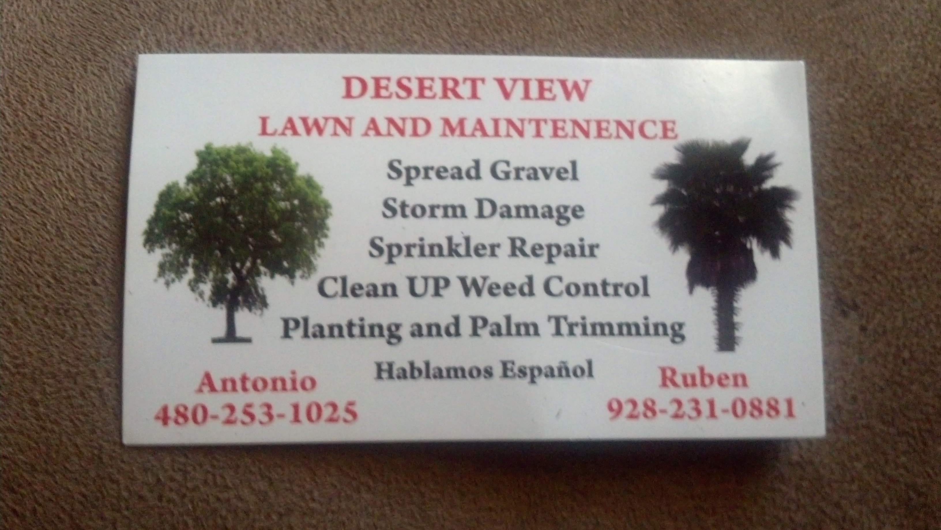 Desert View Lawn And Maintenance