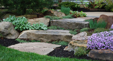 Excellent Landscaping/ Plant Hospital