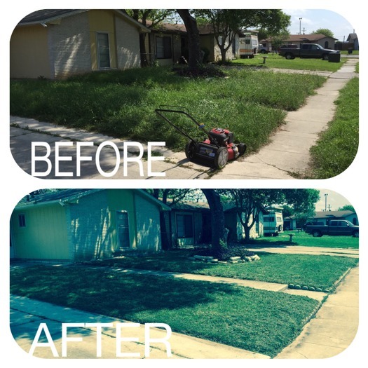 Lawn care Services