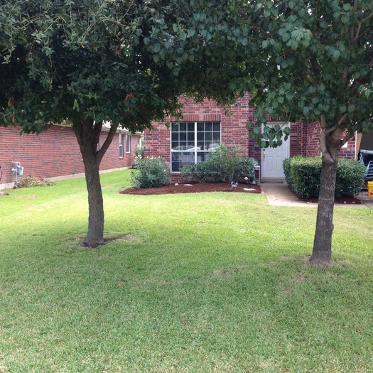 Green Thumb Doctors Landscaping
