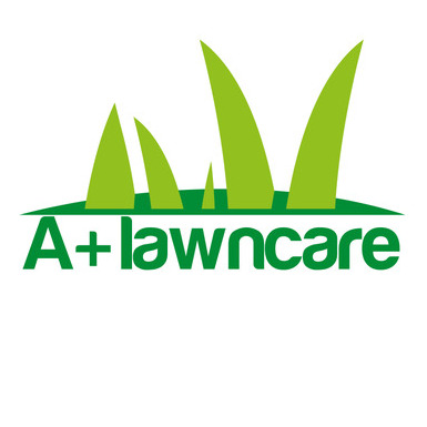 All kind of landscape services