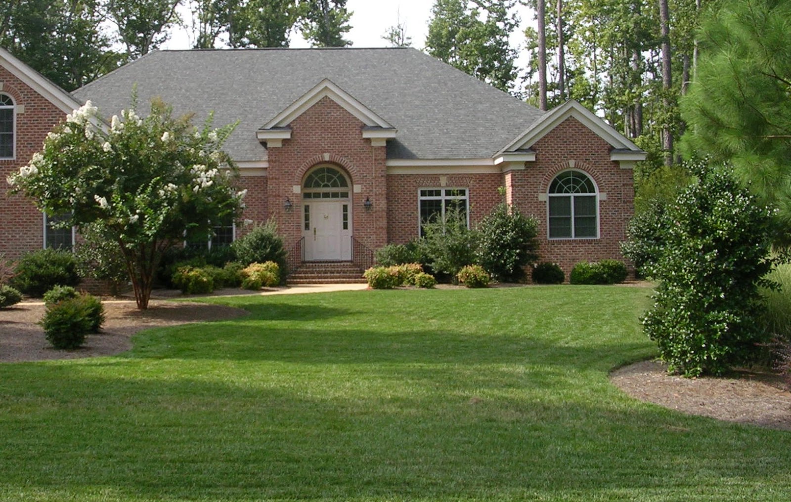 Affordable Lawn Care At It's Best!