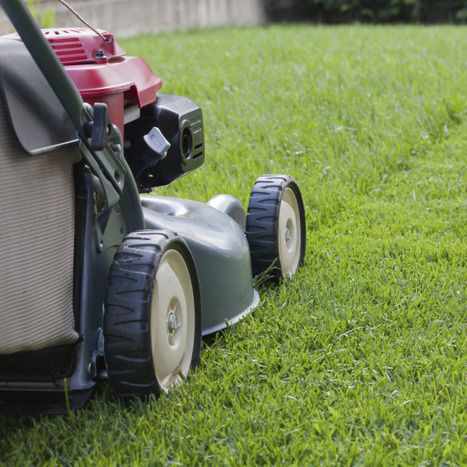 Landscaping by Sam. Dependable, knowledgeable and experienced landscaper available today.
