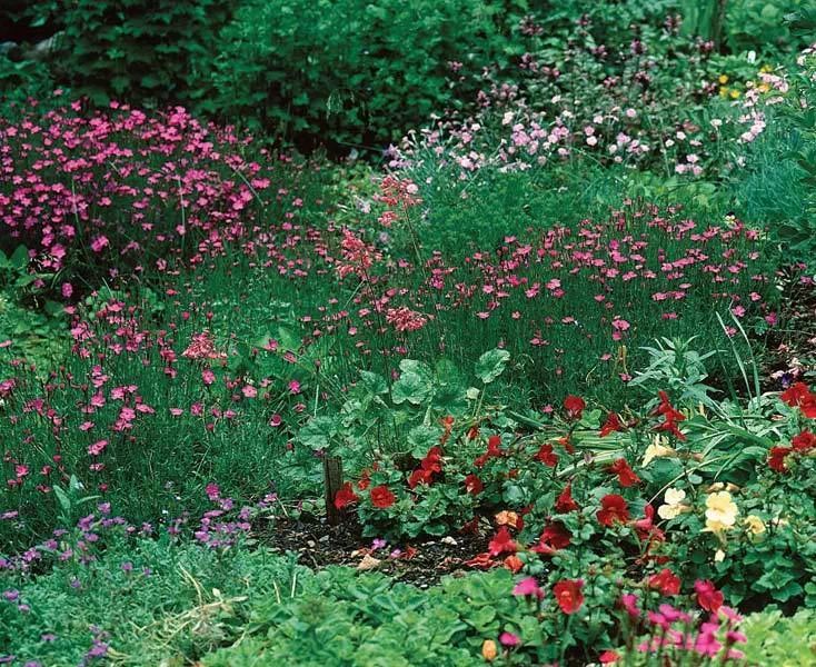 20 Years Of Quality Design And Care Of Beautiful Landscapes.
