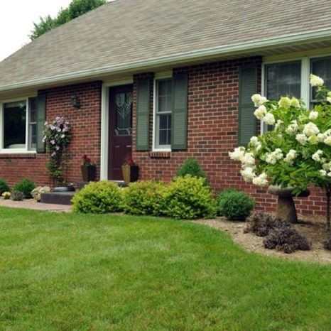 Yards to Lawns, Free Estimates!