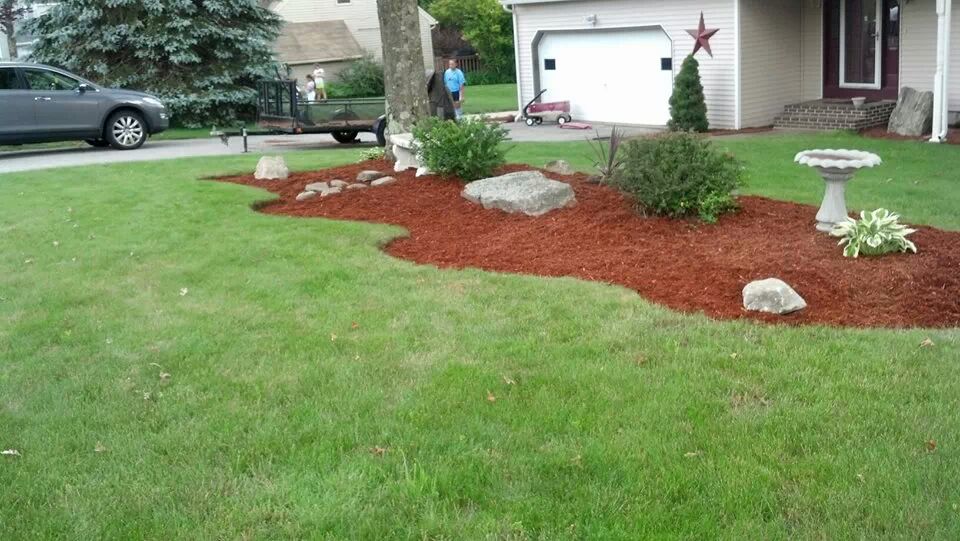 Spring Clean Ups