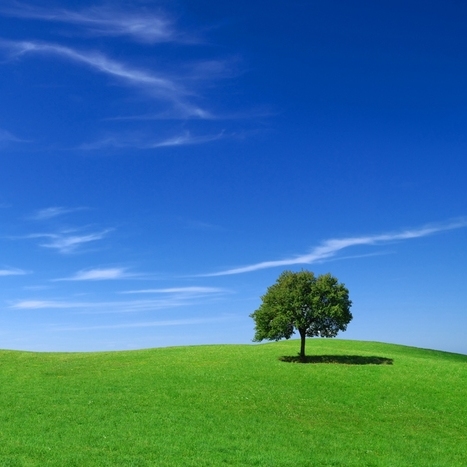 Bio Green - Complete natural landscape nutrition and fertilizer