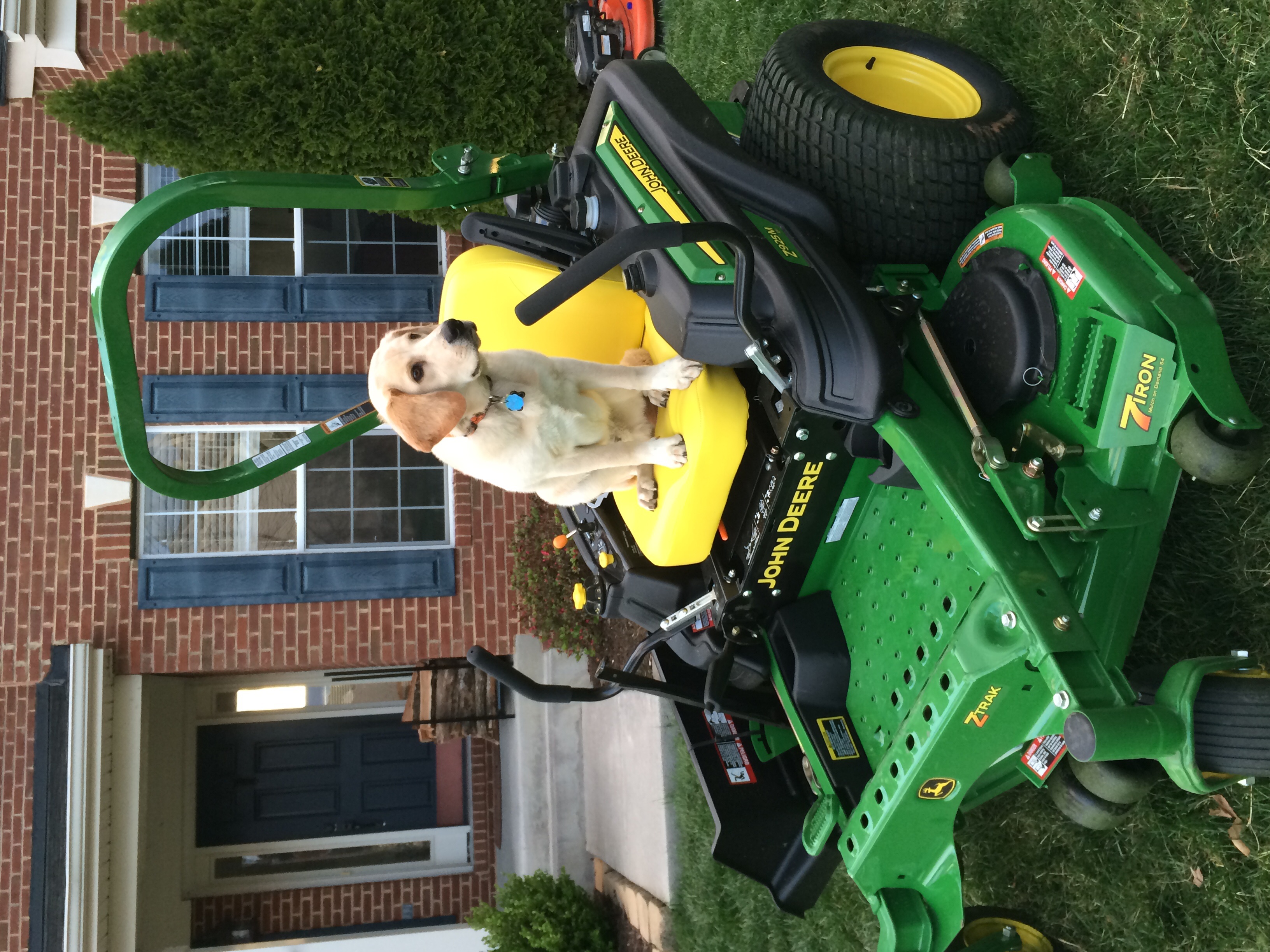Winchester area lawn care to Round Hill, Purcellville, Berryville, Leesburg, etc