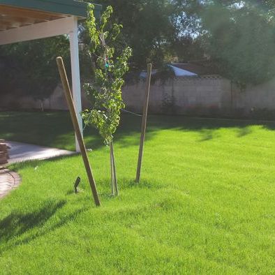Elimate all your landscape headaches in less than 21 days!