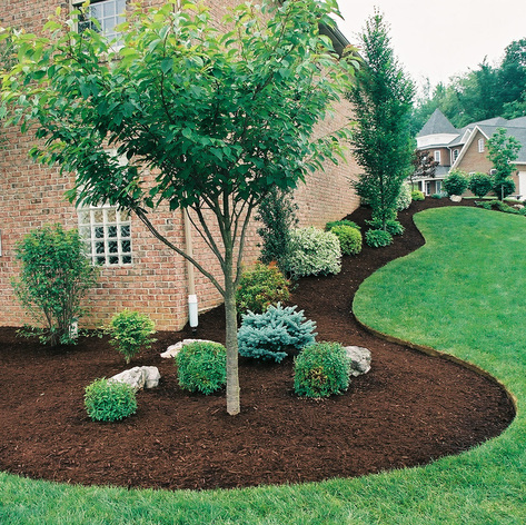 Save up to 50% on Lawn Care Services!