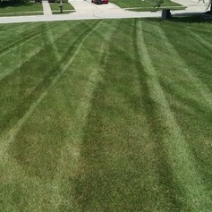 McIntyre Lawn Care