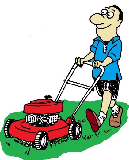 Torres mowing 20$ and up