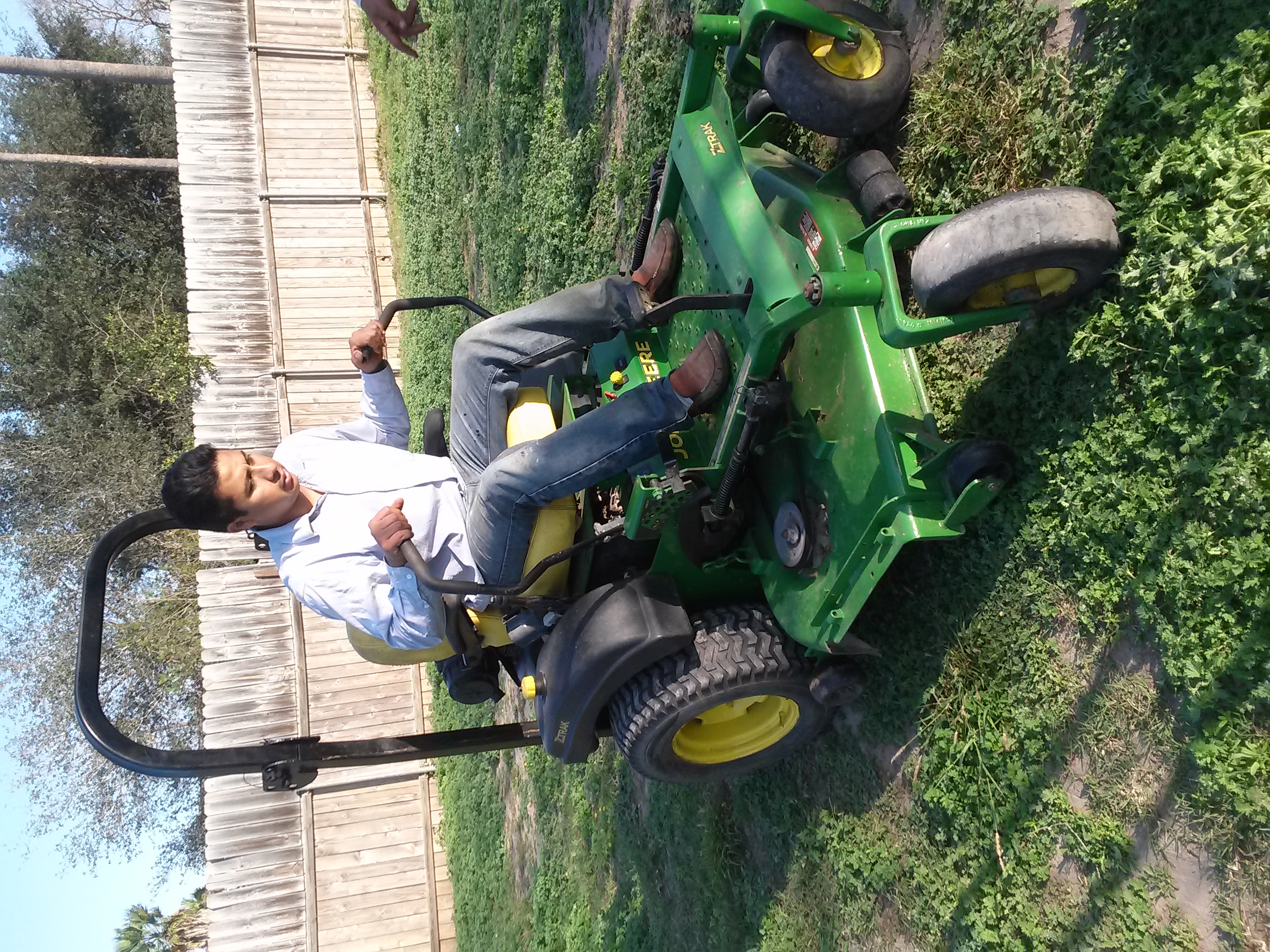 King's Lawn Services Plus