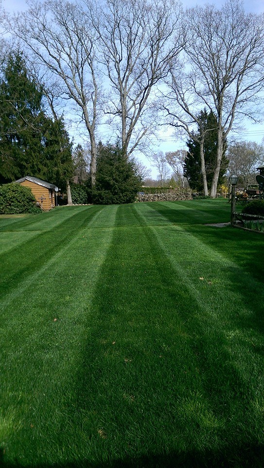 Gold Leaf Lawnscapes