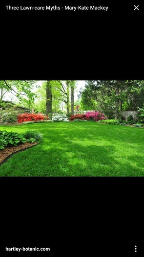 Lawn detailer