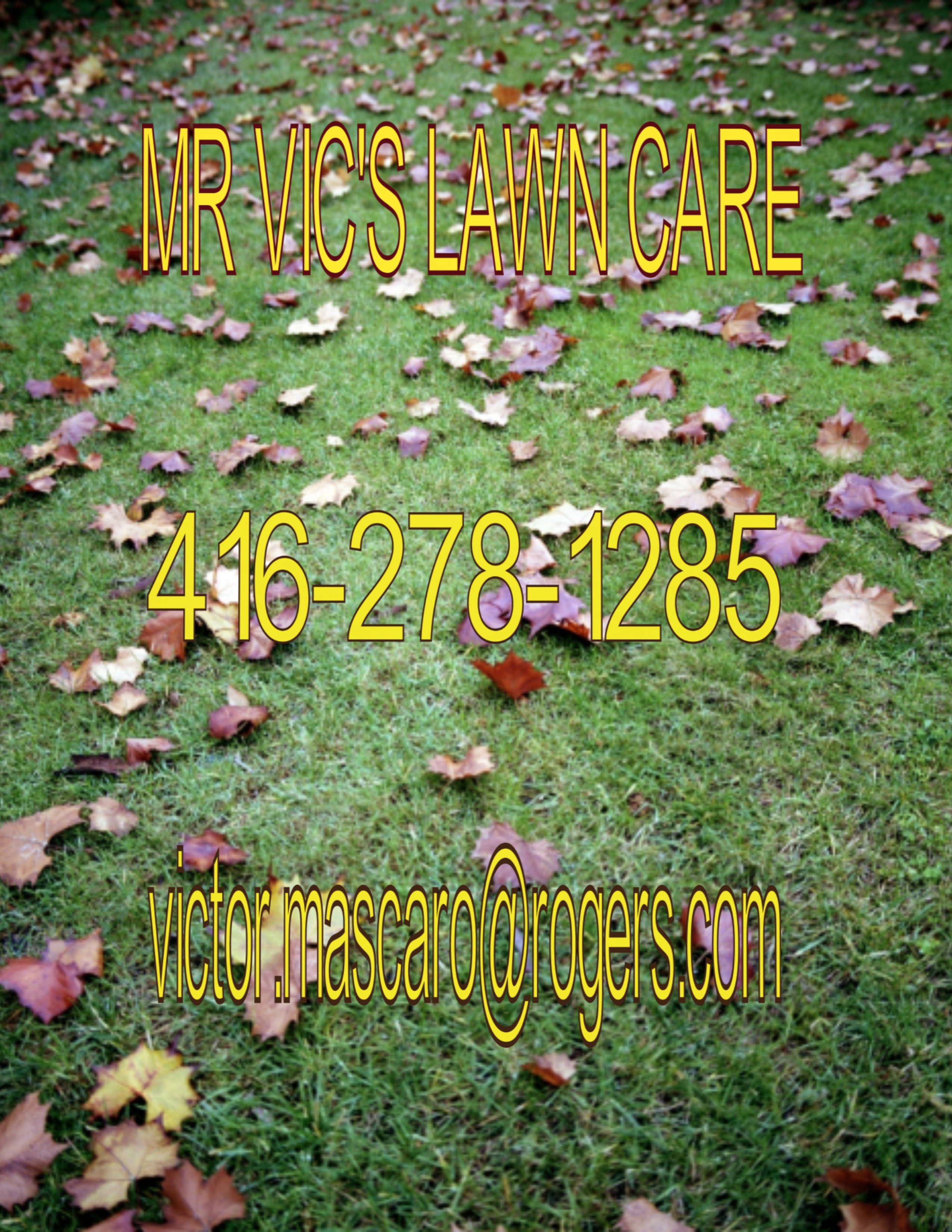 Mr Vic's Lawn Care