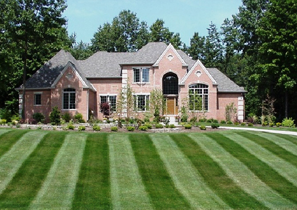 Free estimates feel free to call at anytime we offer the best lawn care in the Louisville area at affordable rates!