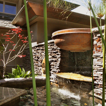 Excellent Lanscapes