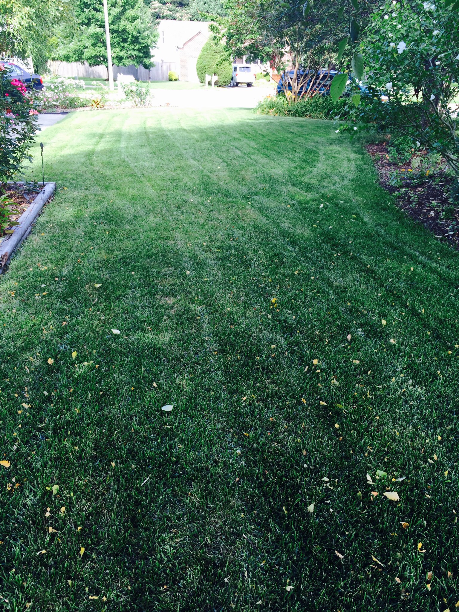 Total Oasis Landscaping