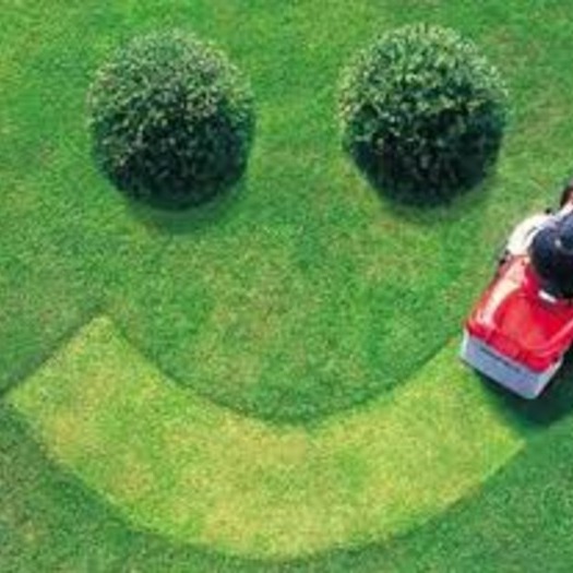 Emilio's Lawn Care