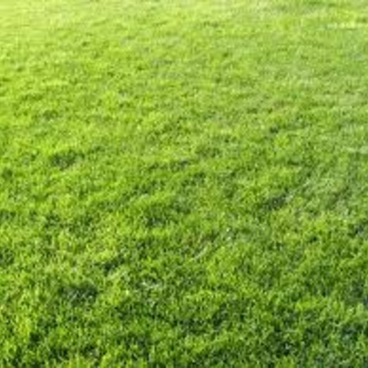 OAK LAWN CuTz " a Lawn to be proud of "