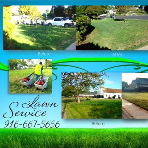 Affordable Lawn Service