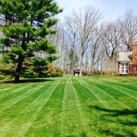Dave's Lawn Care and Landscaping