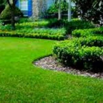 Cutting Edge Lawn Services