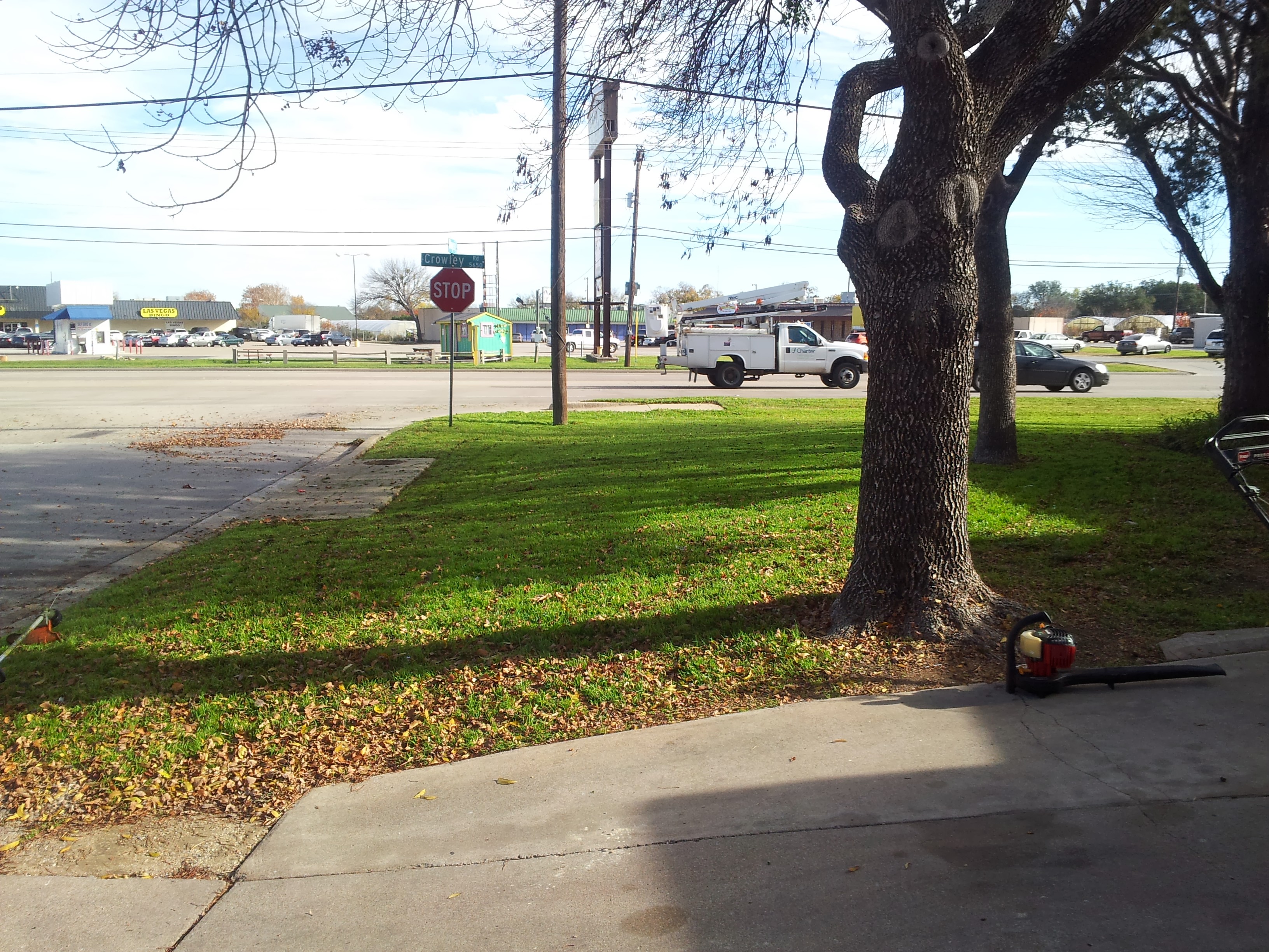 Mr Douglas Lawn & Tree Trimming