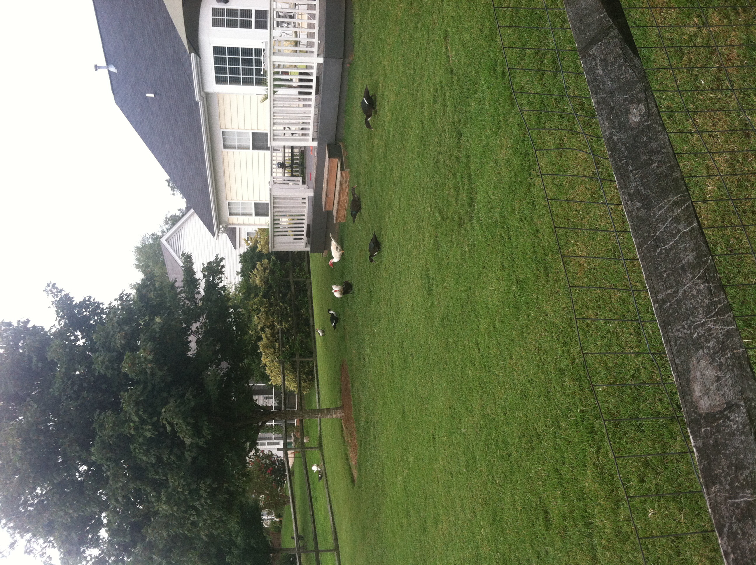Weir Lawncare & Landscaping